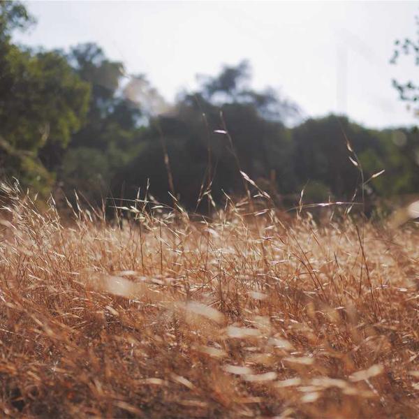 Specchio da terra rettangolare - Tortora