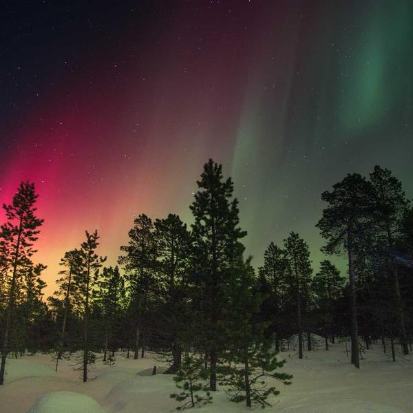 Armadio scarpiera ribaltabile - Sabbia