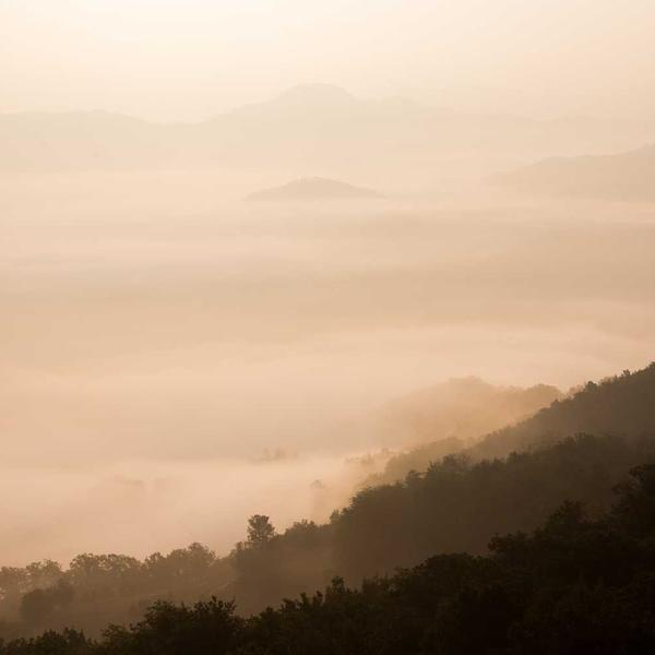 Mobile TV ad angolo